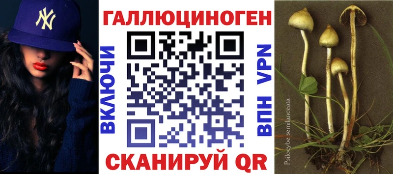 Галлюциногенные грибы Psilocybe  Купить  Боготол 